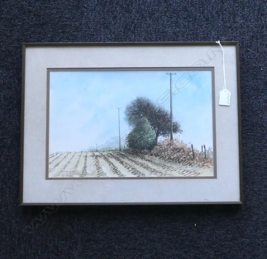 GARY HALPIN 'BUSHES OFF LOSTOCK LANE HORWICH' WC '82 240x370mm Image 1++