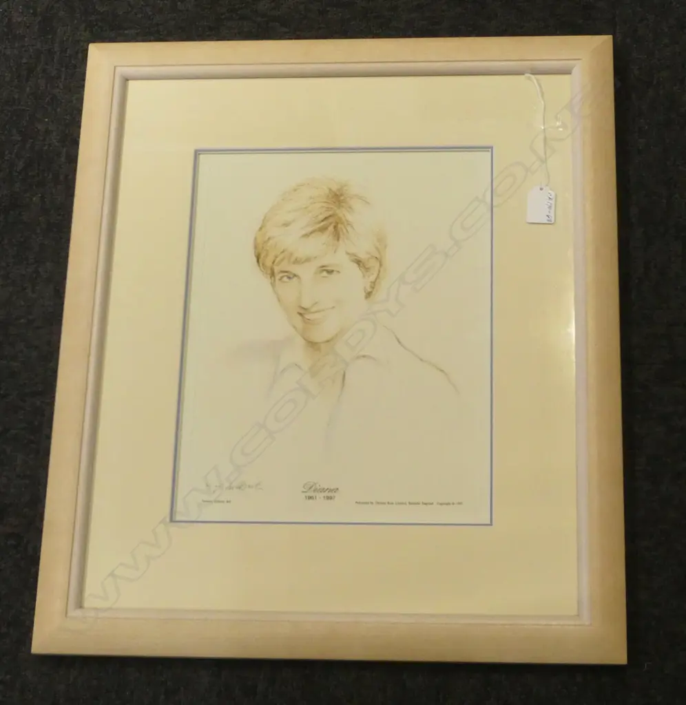 'DIANA 1961 - 1997'  LITHOGRAPHIC PRINT from a drawing by Terence Gilbert H.330 x 260mm Image 1++