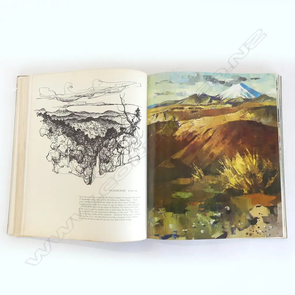 ARYT BOOK PETER MCINTYRES NEW ZEALAND H350 L290MM Image 1++