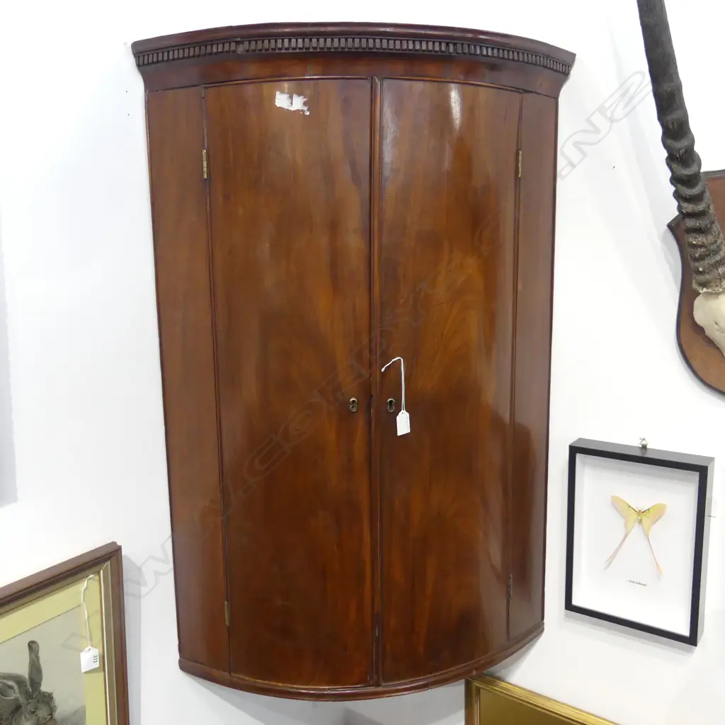 GEORGIAN MAHOGANY CORNER CABINET 490x490x1000mm Image 1++