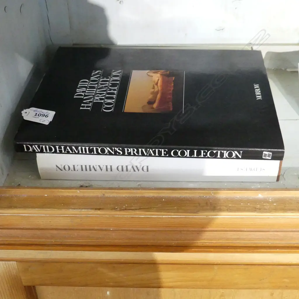 TWO DAVID HAMILTON PHOTOGRAPHY BOOKS Image 1++