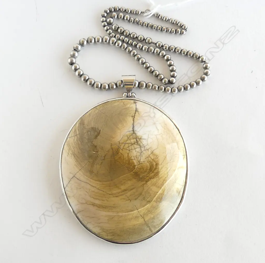 LG SILVER RIMMED (& BALE) FOSSIL NECKLACE w CHAIN Image 1++