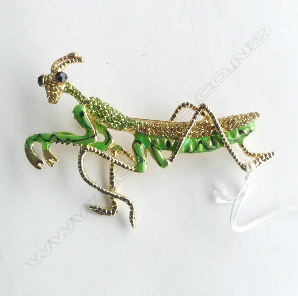 LG PRAYING MANTIS ENAMEL & DIAMANTE BROOCH Image 1++