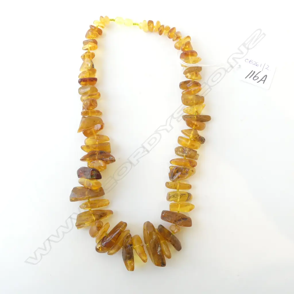 AMBER NECKLACE L.510mm Image 1++