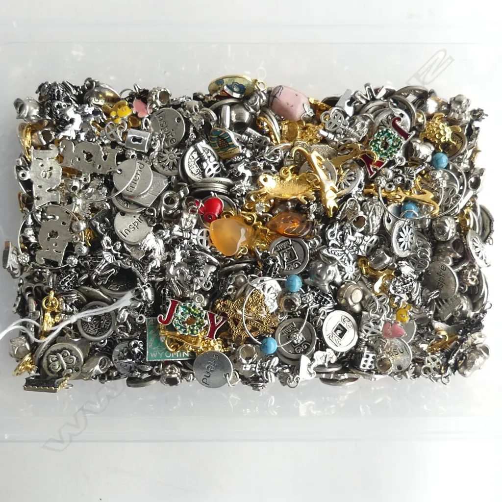 LG COLLECTION METAL CHARMS Image 1++