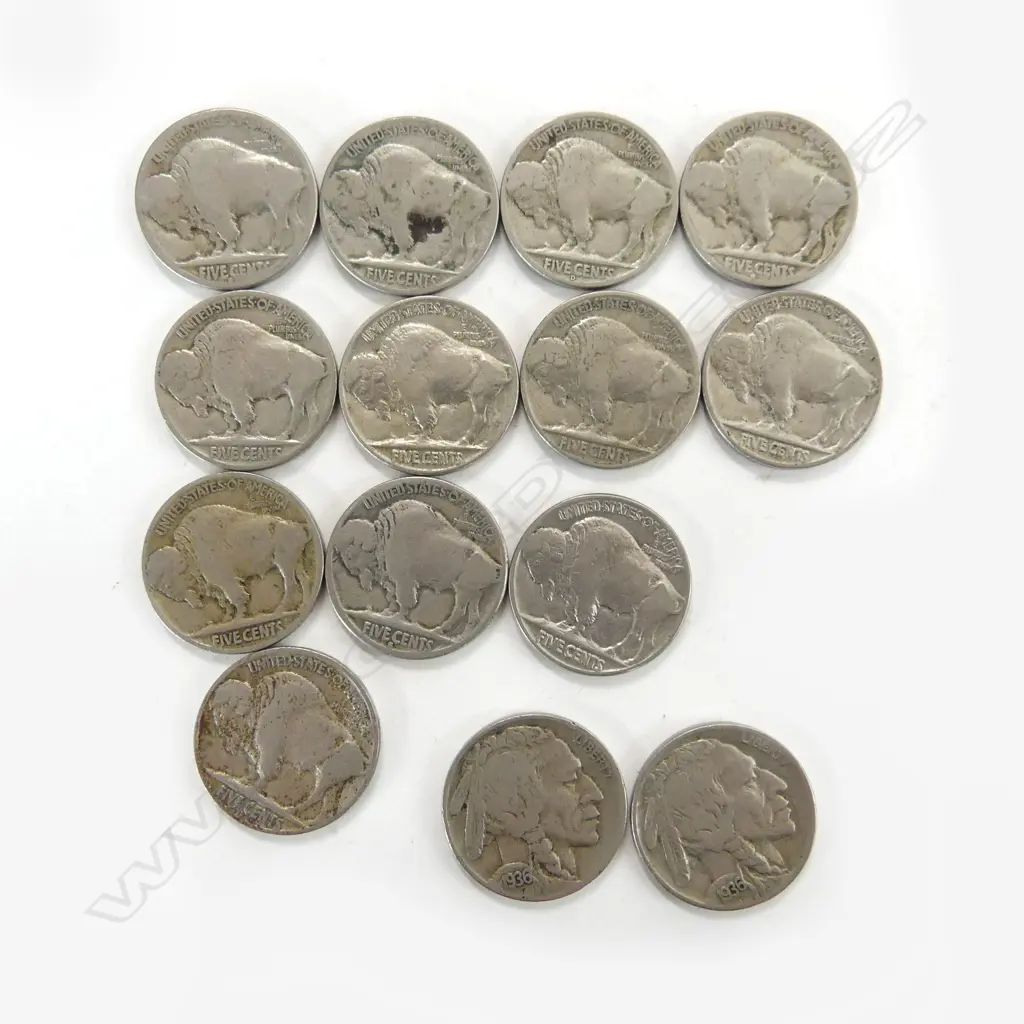14 USA BUFFALO NICKELS 1913-1938 Image 1++