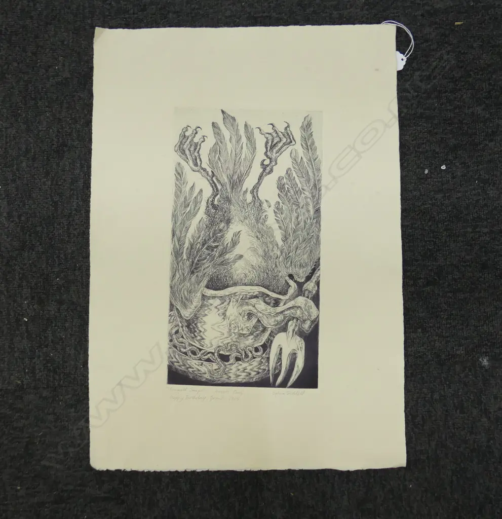 SYLVIA SIDDELL 'SEAGULL SOUP' A/P 330x180mm unframed Image 1++