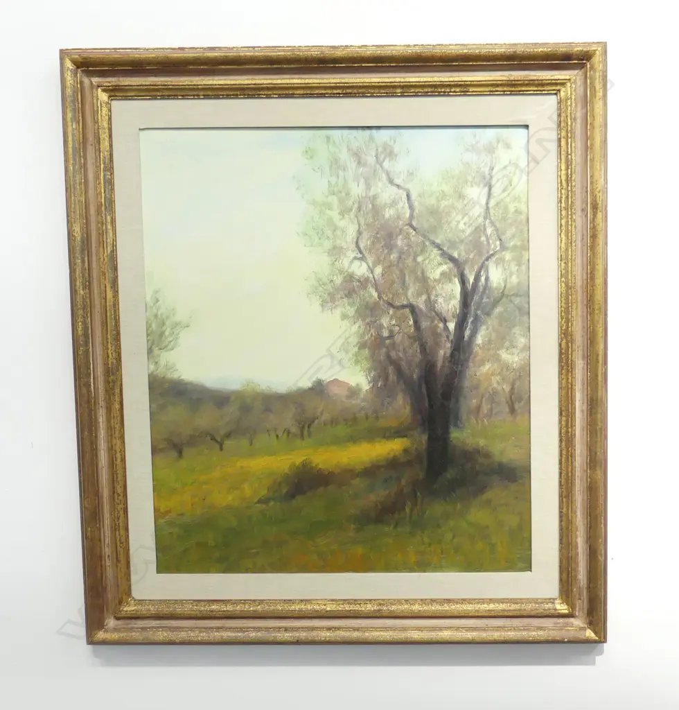 ARTIST UKNOWN, ITALIAN OLIVE ORCHARD? OIL ON CANVAS 685x590mm Image 1++