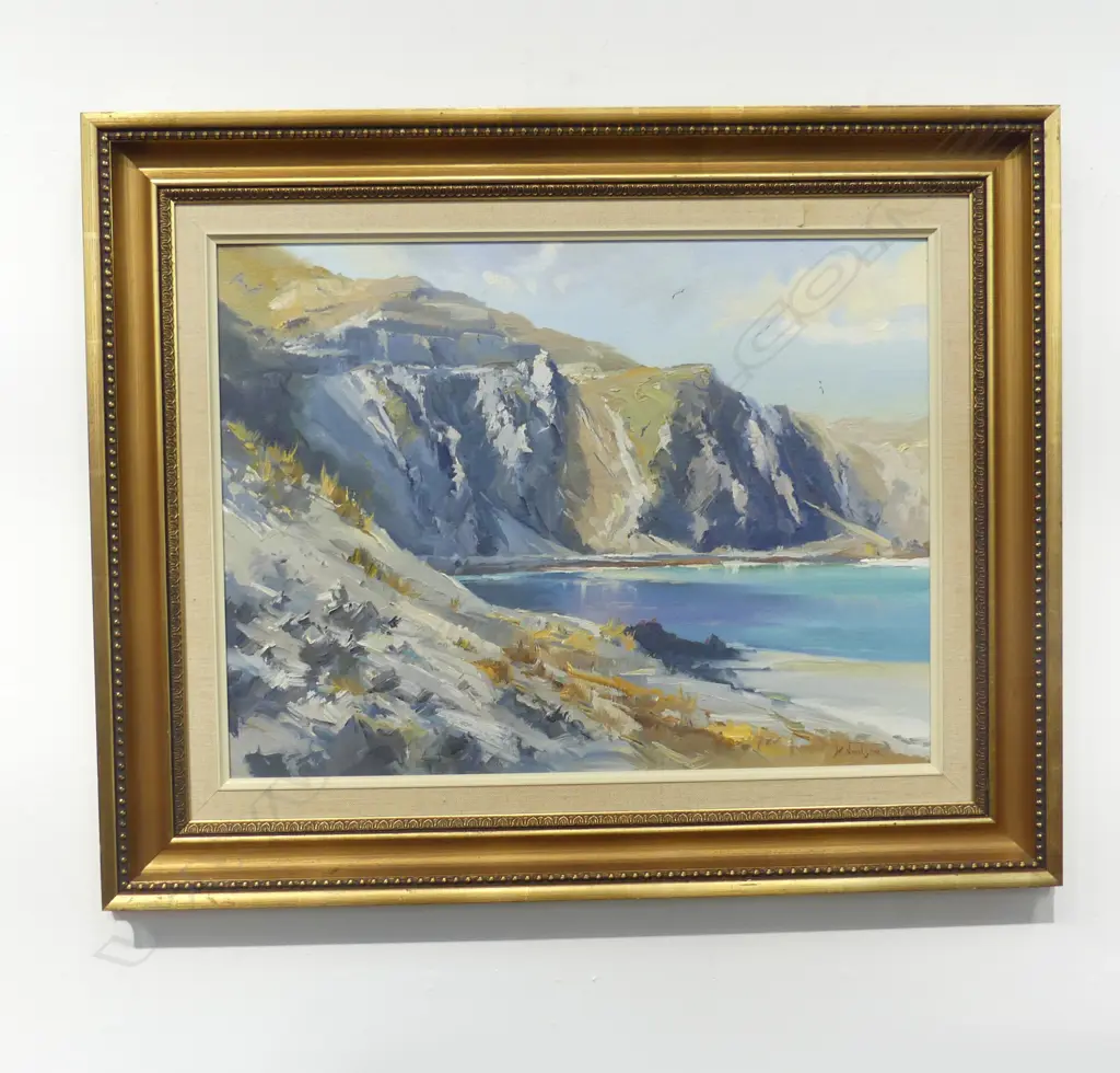 D. R. NEILSON 'WAIRARAPA CLIFFS' OIL ON BOARD 440x590mm Image 1++