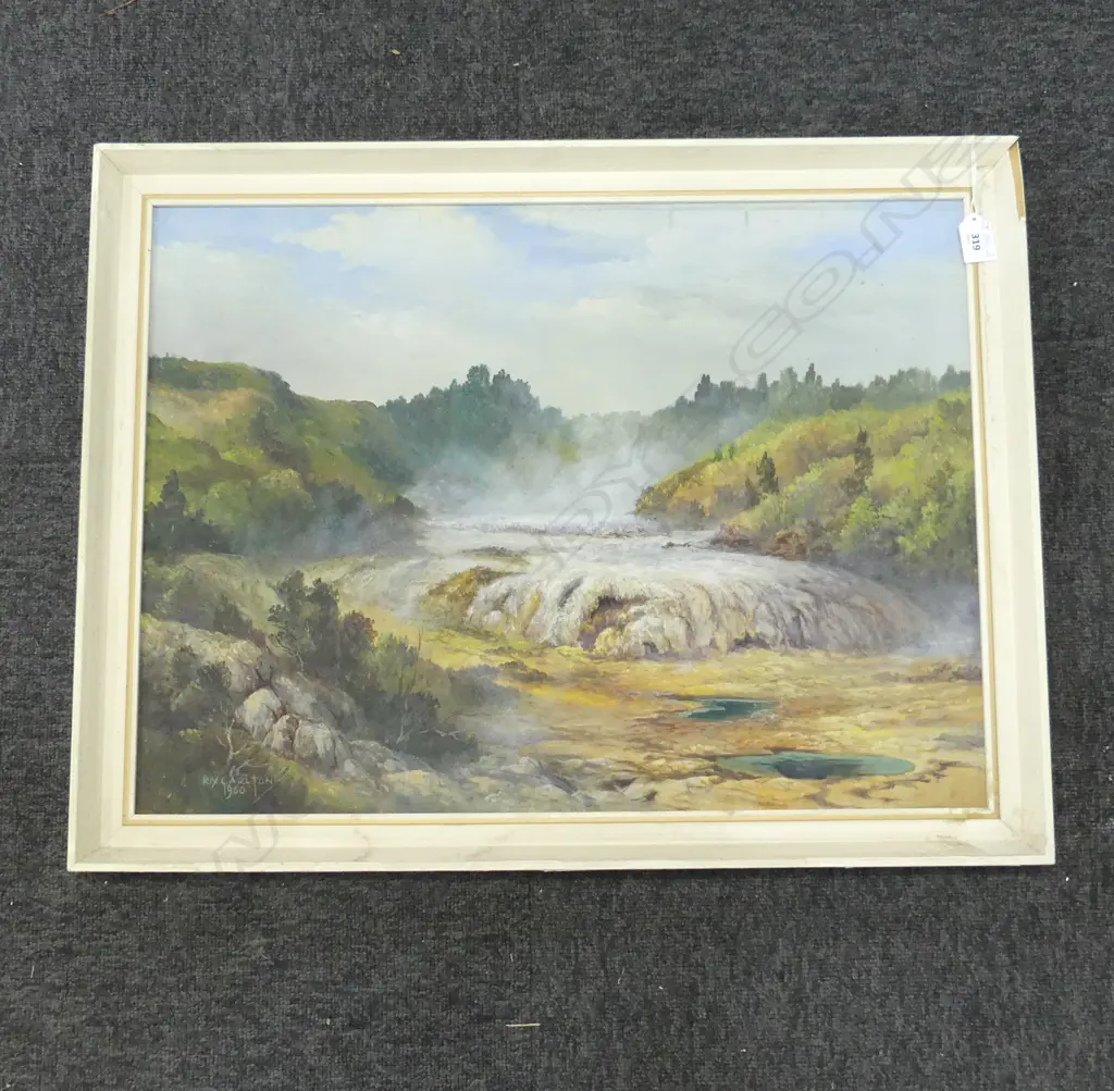 RIX CARLTON oil on board signed 1960 'ORAKEI KORAKO RAINBOW TERRACE' (Hidden Valley) entitled & signed verso 440 x 595mm Image 1++