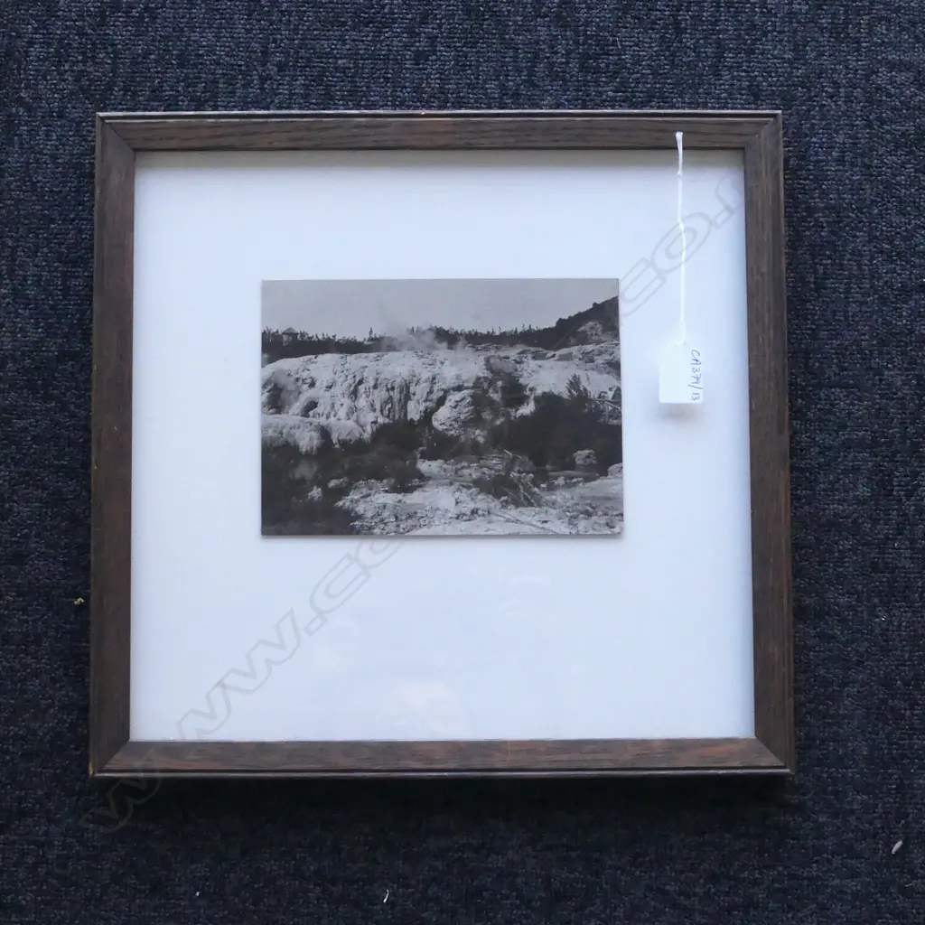 TROUGHTON CLARK PHOTO 'WAKA ROTORUA' C.1930 140x200mm  Image 1++