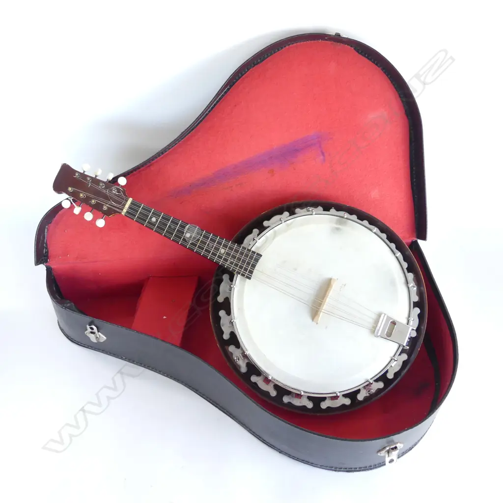 CASED 8 STRING VINTAGE SHORT KNECKED BANJO L620MM Image 1++