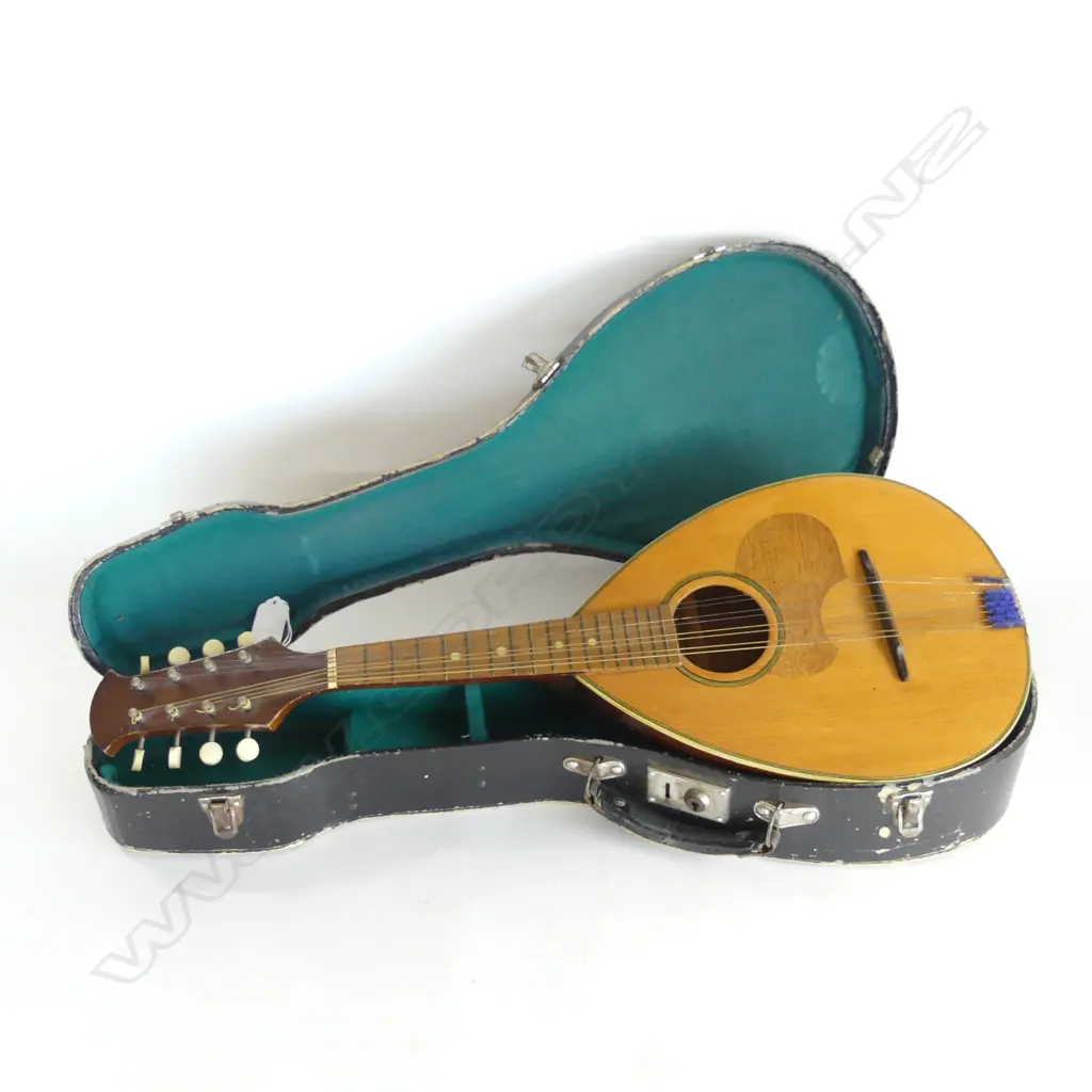 CASED VINTAGE 8 STRING MANDOLIN L620MM Image 1++