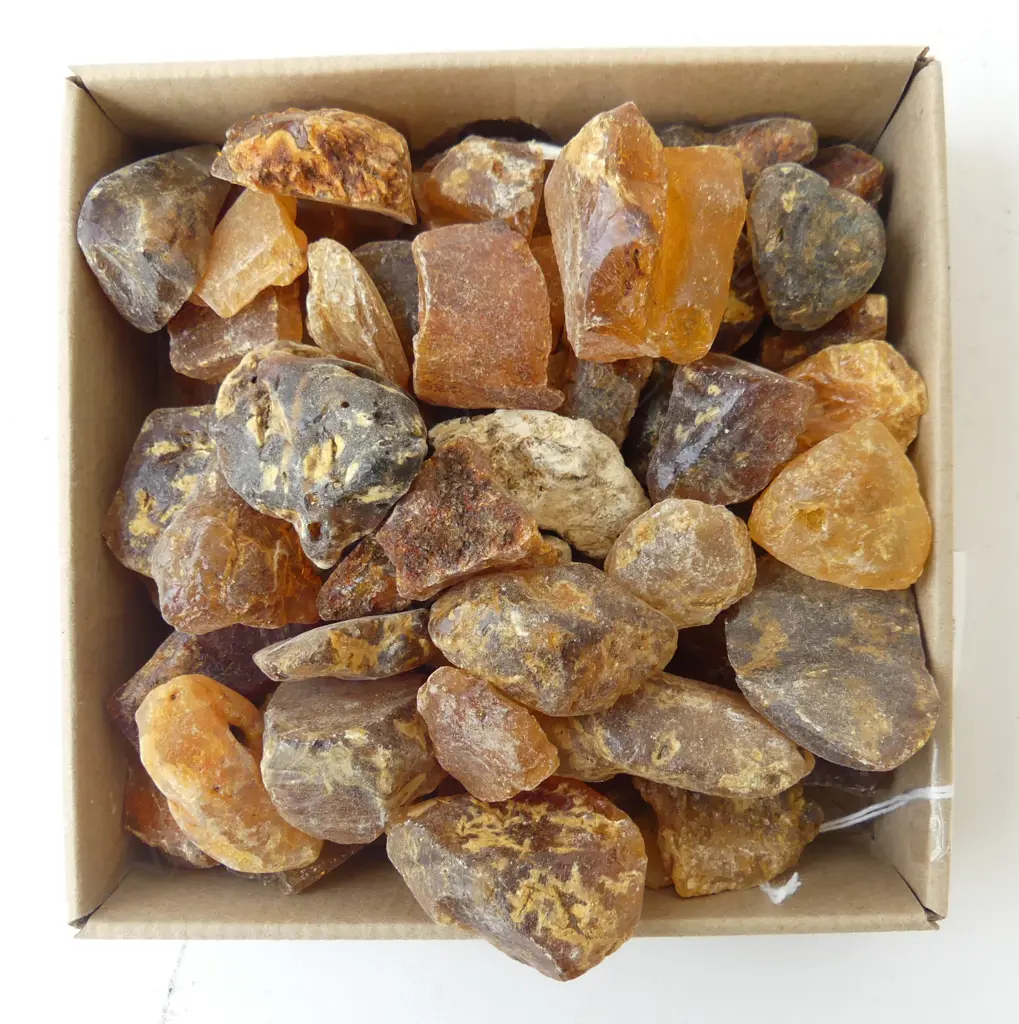 QUANTITY NZ KAURI GUM PIECES Image 1++
