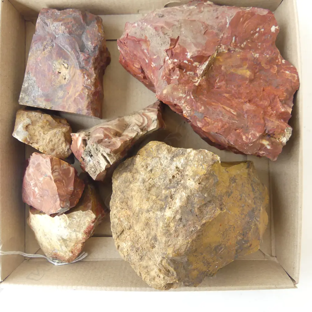 COLLECTION NZ JASPER  Image 1++