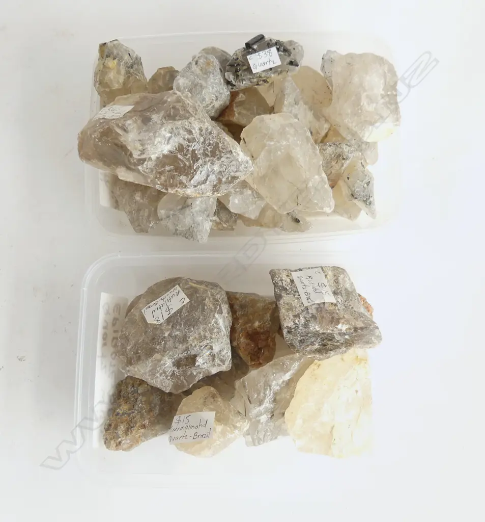 LG COLLECTION BRAZILLIAN QUARTZ w TOURMALINE NEEDLES  Image 1++