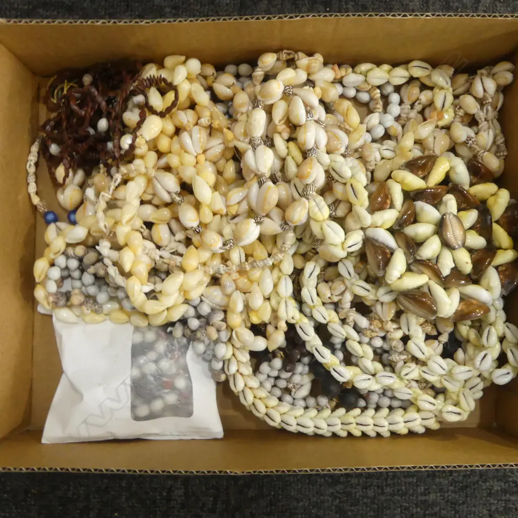 COLLECTION OF PACIFIC ISLAND SHELL & SEED NECKLACES Image 1++