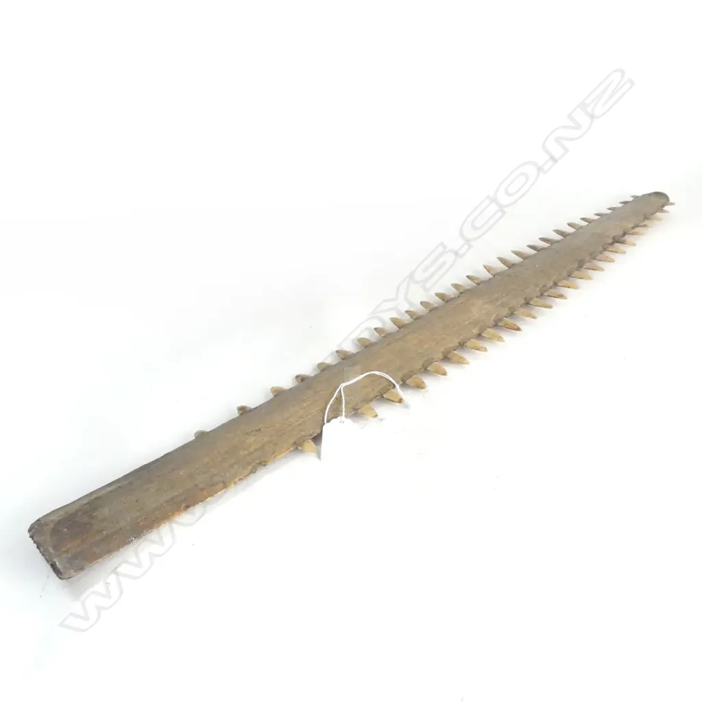 OLD SAWFISH BILL L.660mm Image 1++
