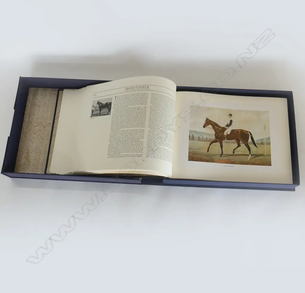 CASED BOOK; NOTABLE AUSTRALIAN THOROUGHBREDS, ALISTER TAYLOR 1981 340x435mm Image 1++