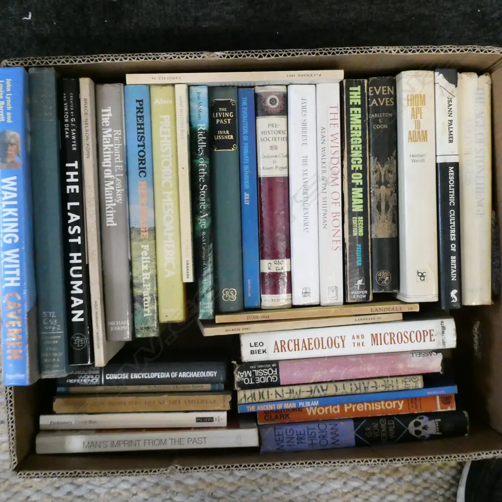 BOOKS; ANCIENT HISTORY Image 1++