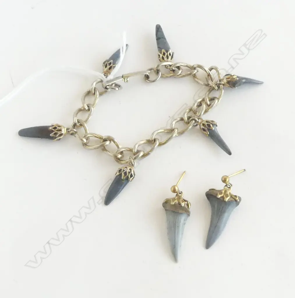 SILVER & TOOTH BRACELET & EARRINGS SET Image 1++