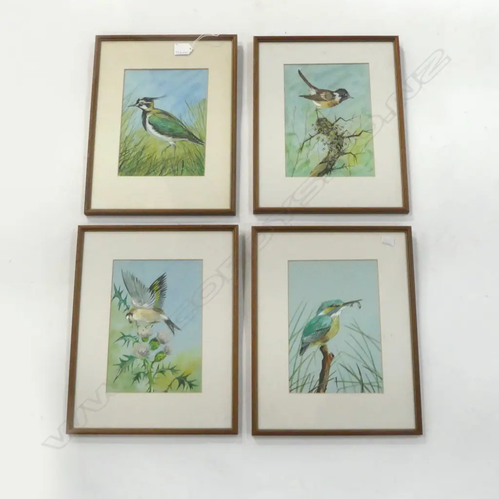 SET OF 4 INDERSTICTLY SIGNED W/CS BIRD STUDIES  H380 W290MM Image 1++