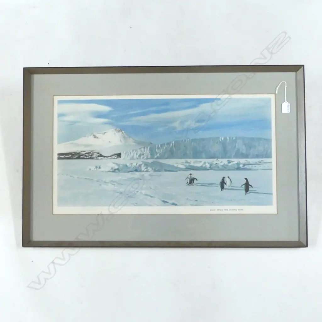 KEITH SHACKLETON LTD.ED. PRINT 'MT. EREBUS FROM McMURDO SOUND' signed. 167/350. Image 1++