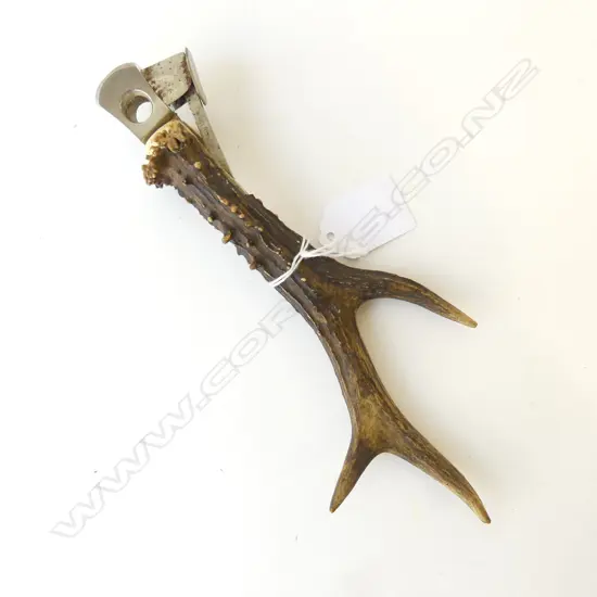 ANTLER HANDLED VINTAGE CIGAR CUTTER L210MM