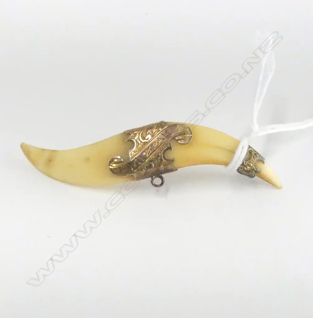 c.1900 MIZPAH ANIMAL TOOTH BROOCH c.1900 Image 1++