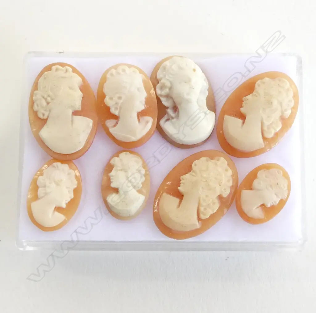8 SHELL CAMEOS H.15mm Image 1++