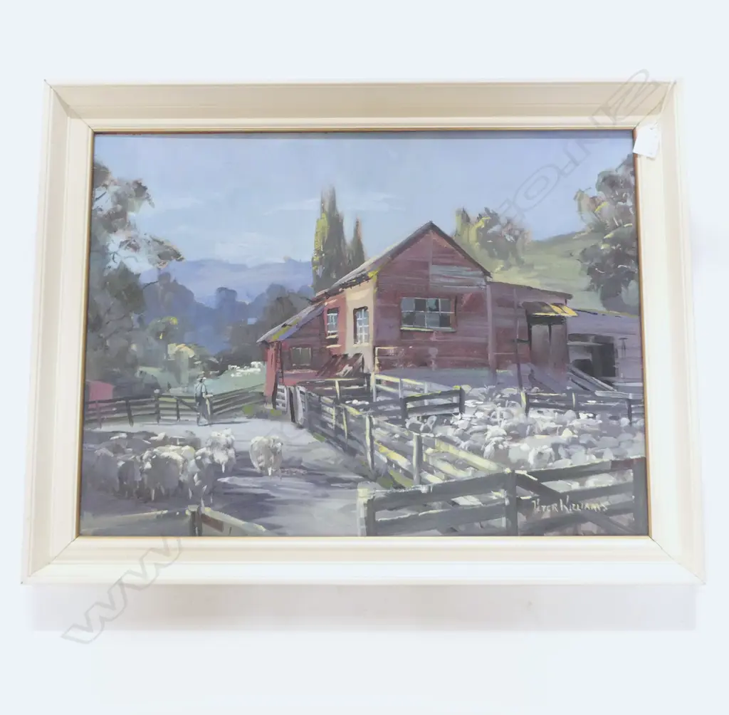 PETER WILLIAMS, RED WOOLSHED & SHEEP, OIL ON BOARD 440x600mm Image 1++