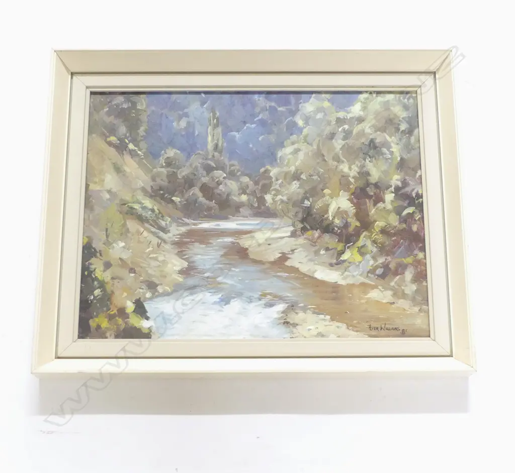 PETER WILLIAMS, WAIOEKA GORGE, OIL ON BOARD, 340x445mm Image 1++