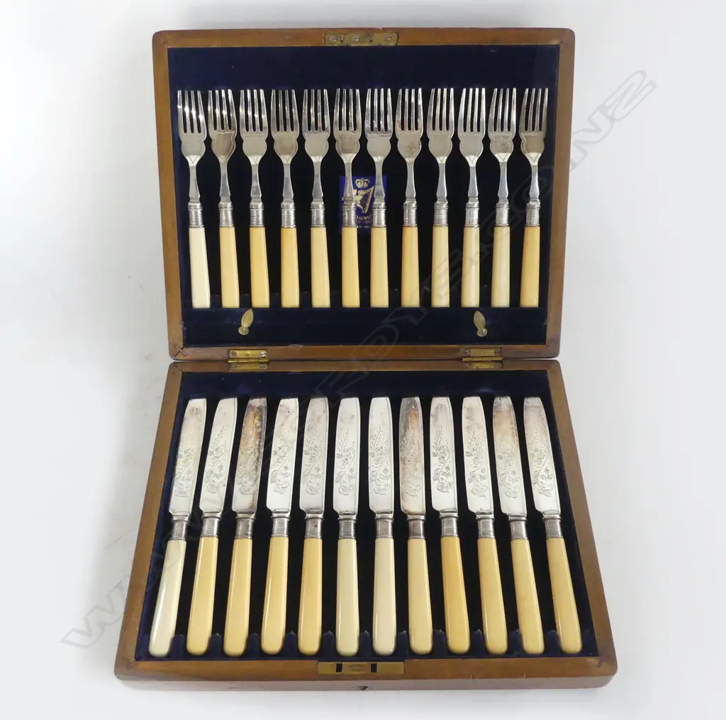 24 PCE FISH SET, CASED Image 1++