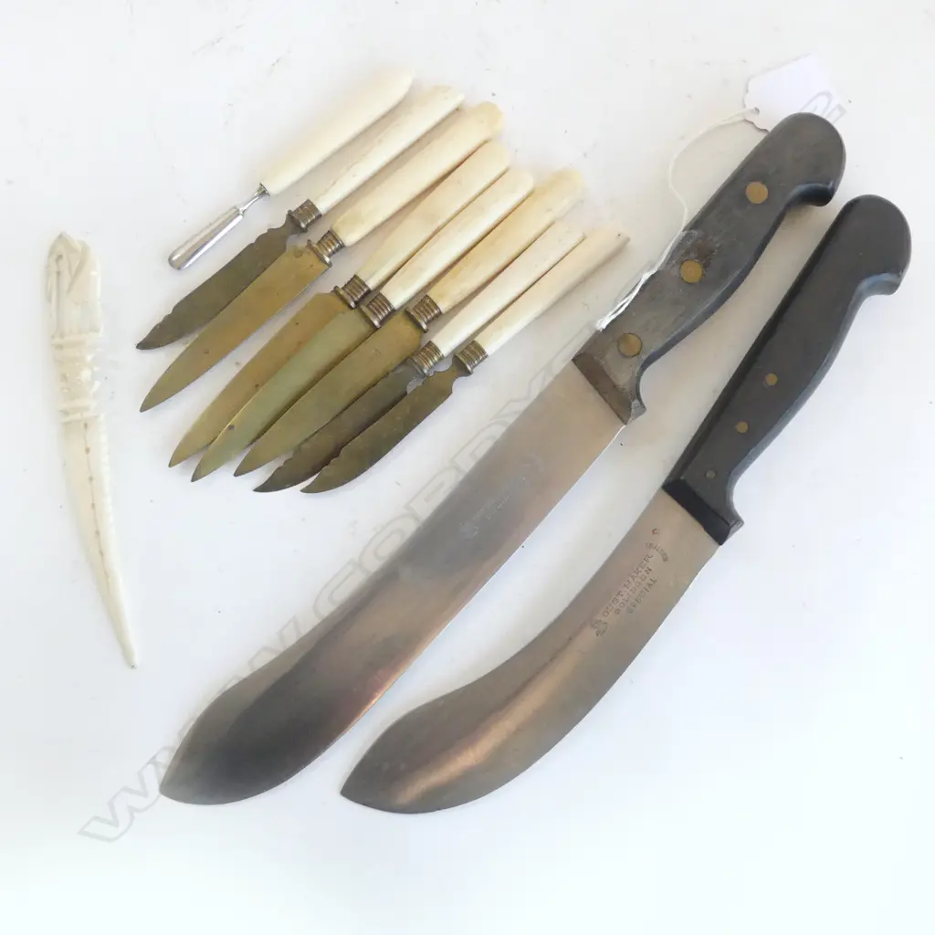 2 SOLINGEN KITCHEN KNIVES L.330mm + 9 BONE PCES Image 1++