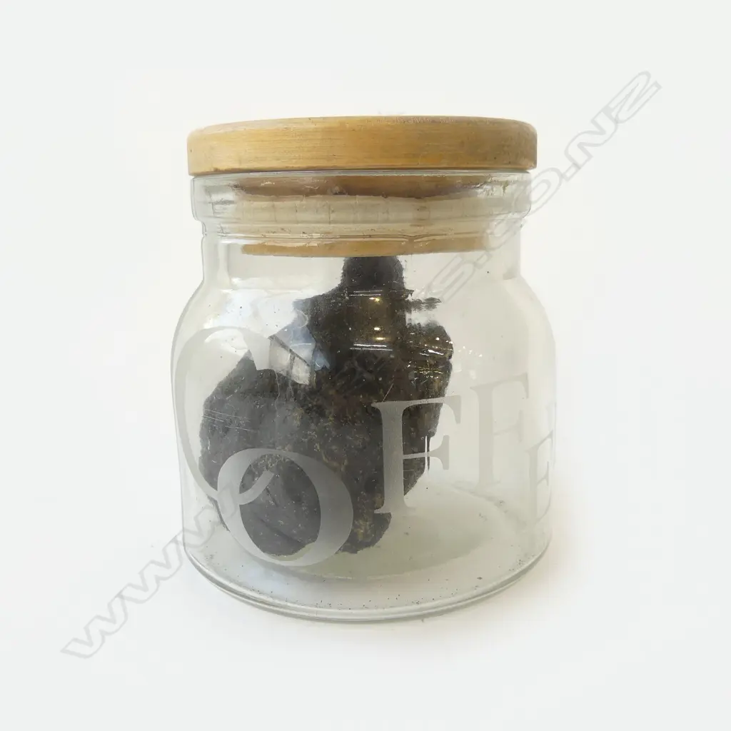WHALE AMBERGRIS LUMP 74gms Provenance: Found by our vendor after a storm at a New Plymouth beach. Image 1++