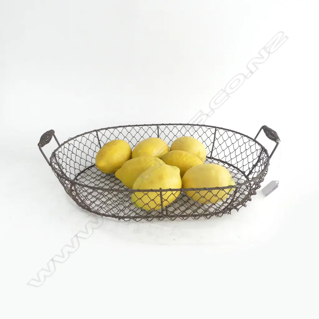 METAL BASKET W.425mm & FAKE LEMONS Image 1++