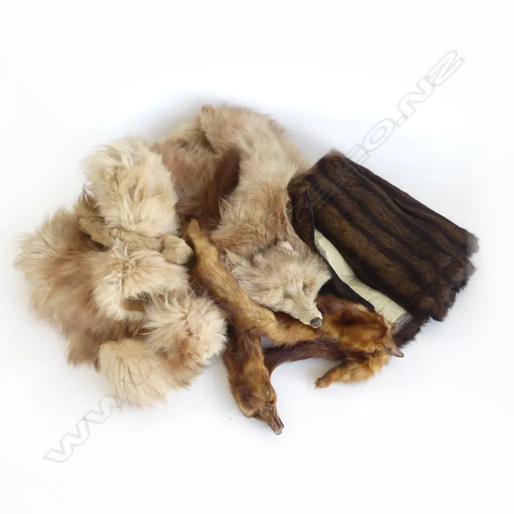 BAG OF FOX FURS ETC  Image 1++