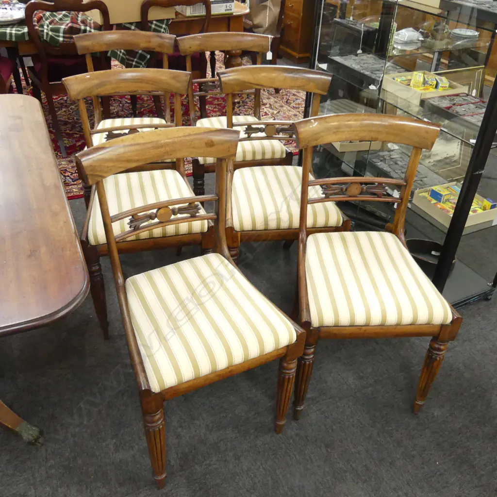 6 19thC MAHOGANY DINING CHAIRS Image 1++