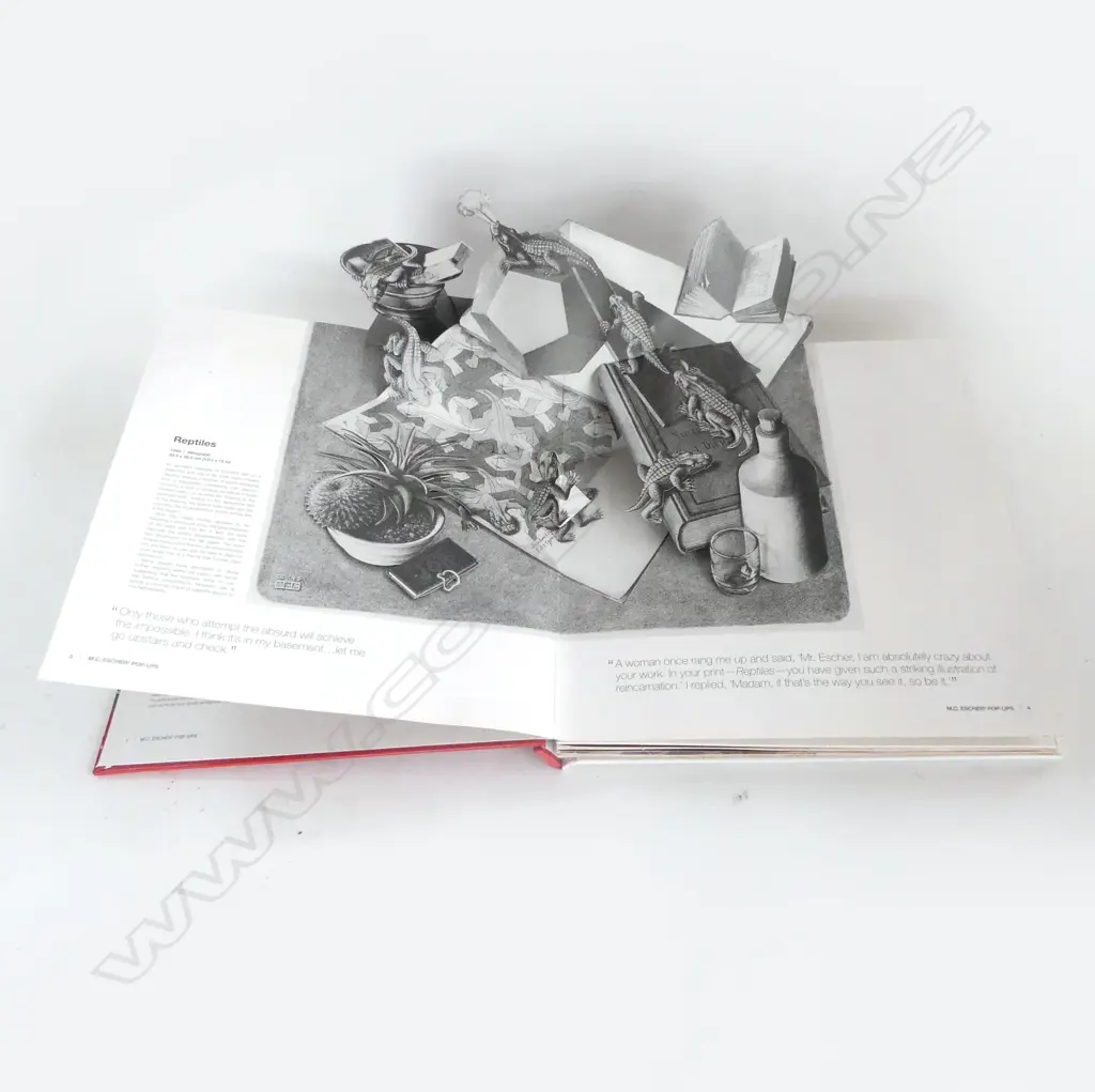 BOOK; M. C. ESCHER POP UPS Image 1++