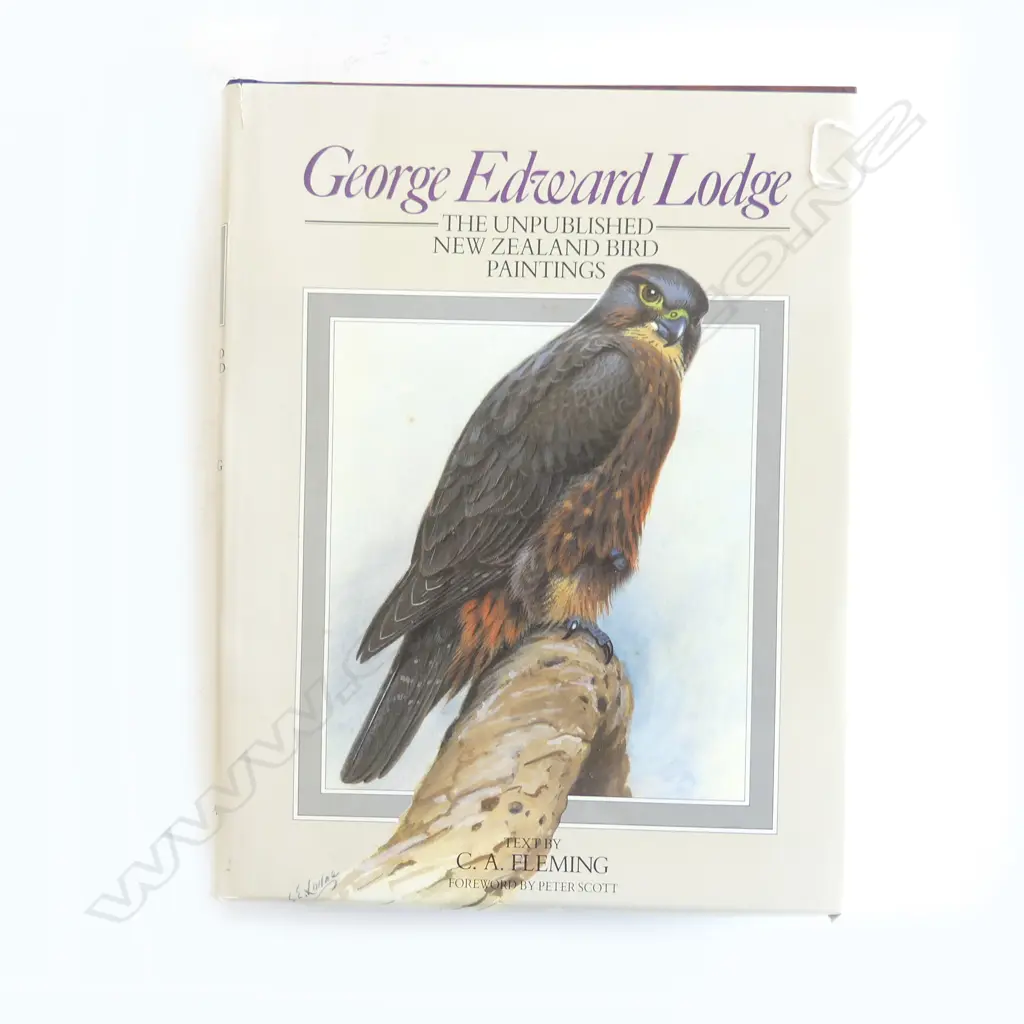 ART BOOK; GEORGE EDWARD LODGE: THE UNPUBLISHED NZ BIRD PAINTINGS 360x280mm Image 1++