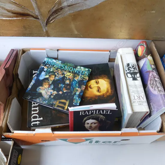 7 ASST PICTORIAL ART BOOKS INCL MICHELANGELO REMBRANDT PICASSO ETC