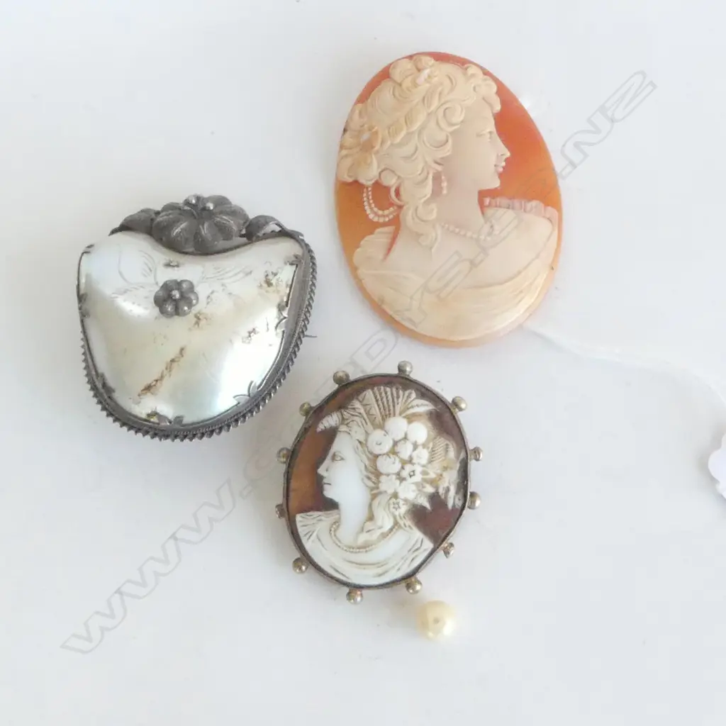 2 CAMEOS 60x45mm + SILVER? & MoP BROOCH Image 1++