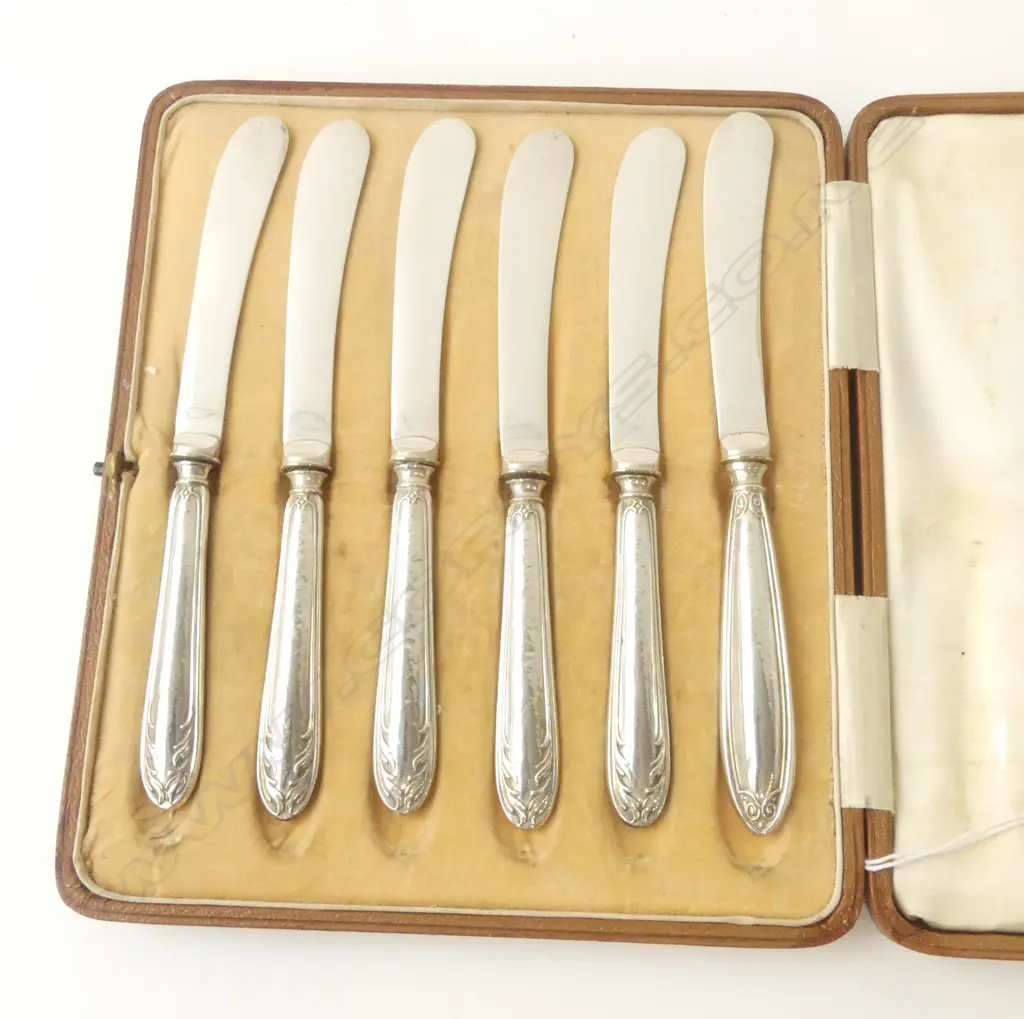 SIX STG SILVER HANDLED PATÉ KNIVES (ONE REPLACED) SHEFFIELD 1905 & 1910 IN CASE, L.170MM Image 1++
