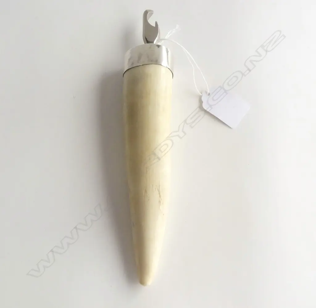 ELEPHANT IVORY TUSK END BOTTLE OPENER L.220mm 168gms Image 1++