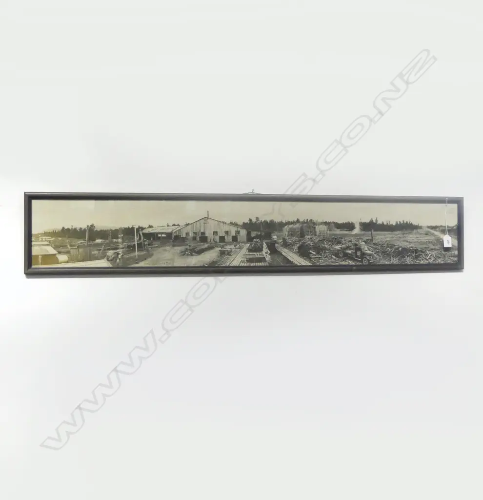 1936 VINTAGE PANORAMIC PHOTO OF POKAKA SAWMILL 180x1215mm Image 1++