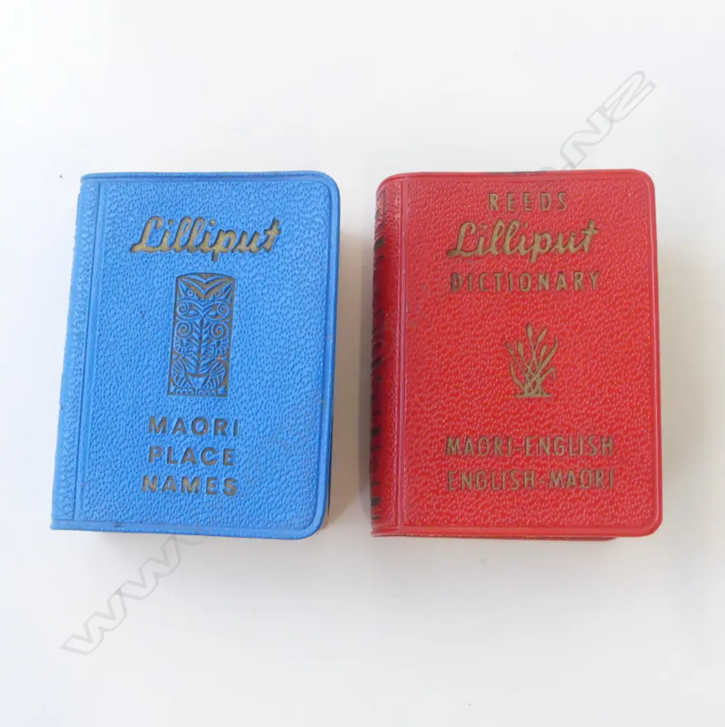 PAIR OF VINTAGE MAORI REEDS LILLIPUT MINIATURE BOOKS – MAORI PLACE NAMES & DICTIONARY, L.50MM Image 1++