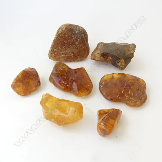 7 PCES KAURI GUM