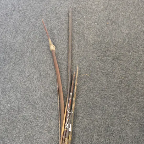 2 PNG HUNTING BOWS L1600MM & 6 ARROWS