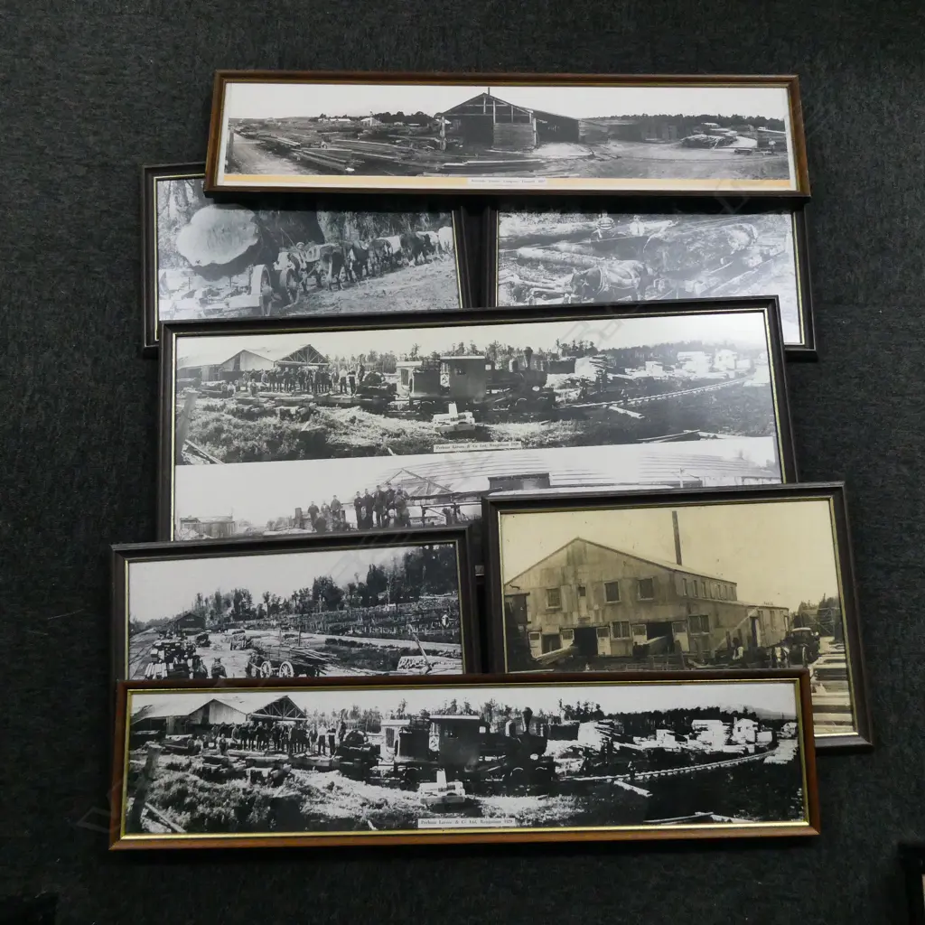SELECTION OF PHOTOGRAPHS SHOWING OLD LOGGING & MILL SCENES, MOSTLY REPRINTS INCL. PANORAMIC ETC Image 1++