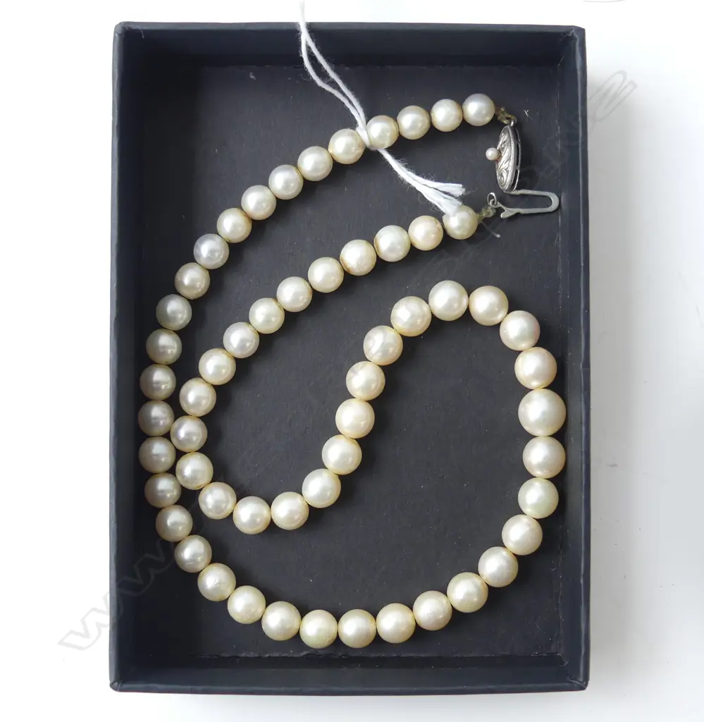 STRAND OF CULTURED PEARLS 5-9mm, SILVER CLASP 440MM Image 1++